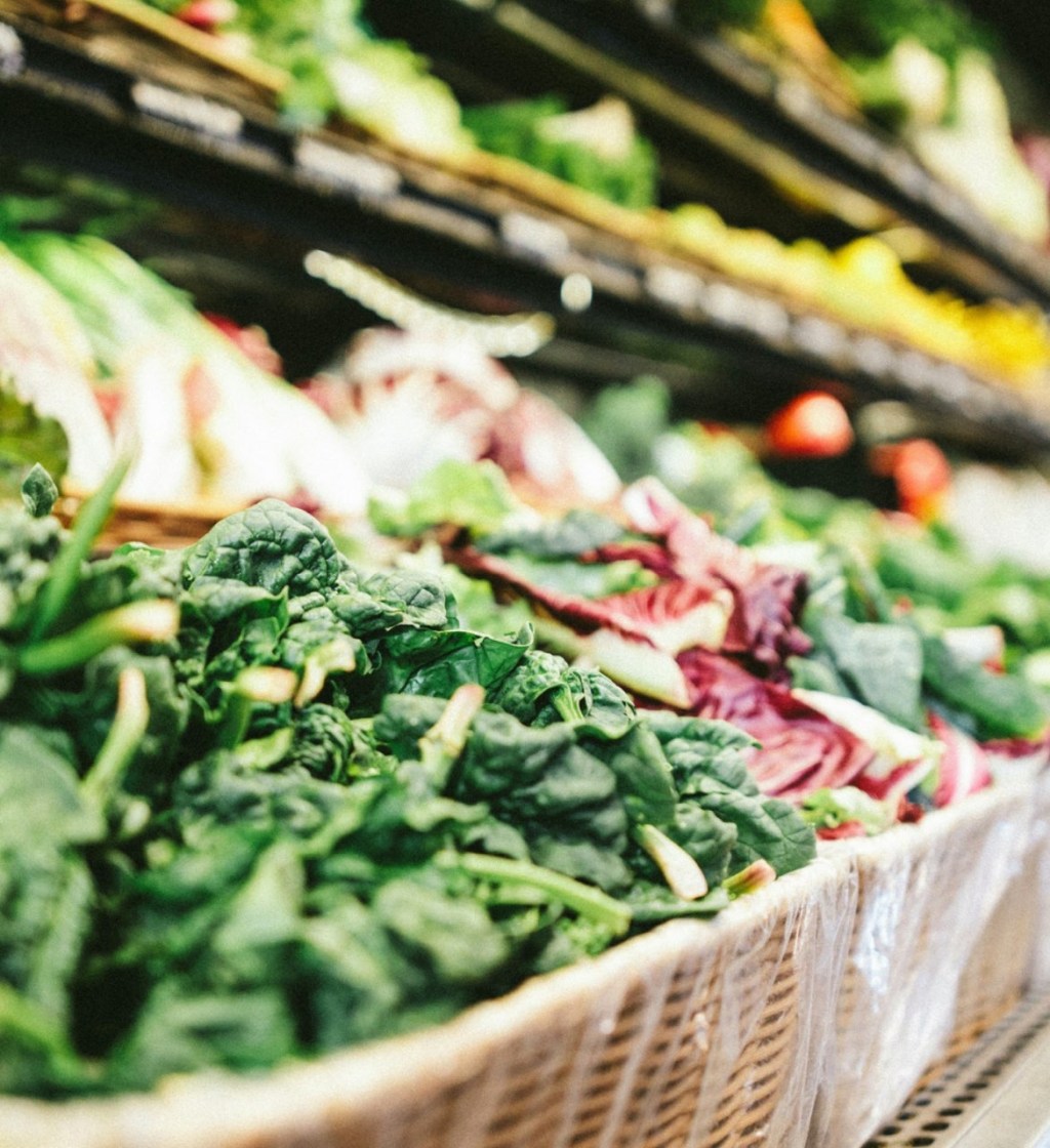 The liver and digestive&nbsp;system