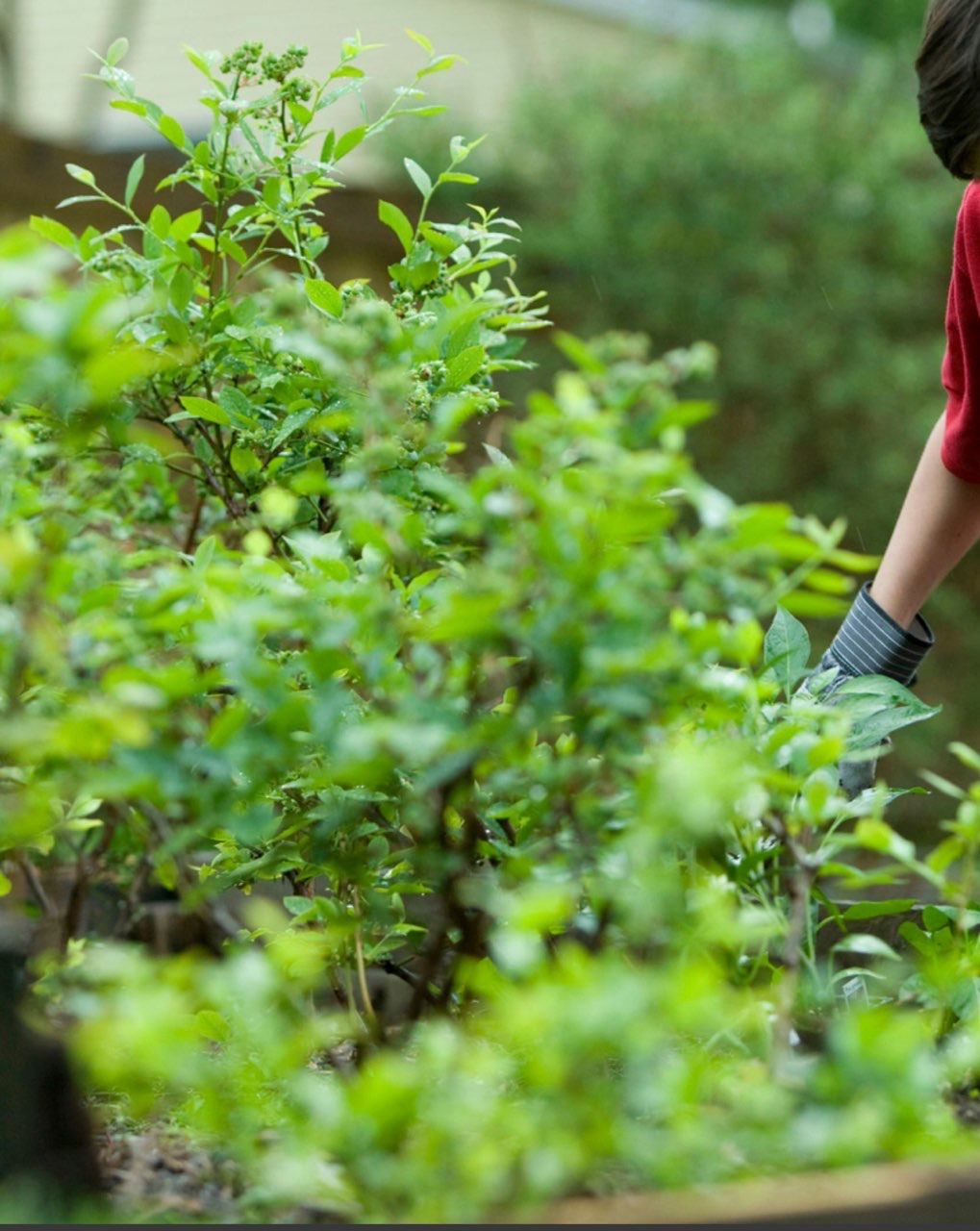 Digestion is the foundation of our overall&nbsp;health.